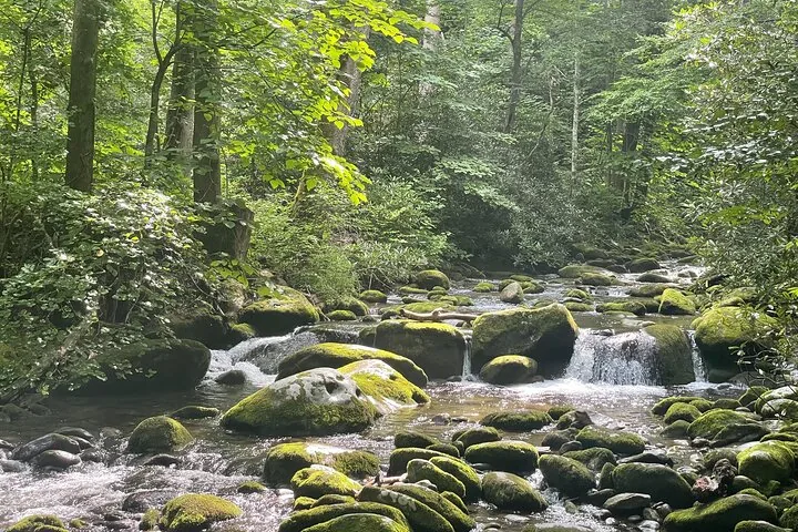 Mountain stream with a small waterfall on the Roaring Fork guided jeep tour